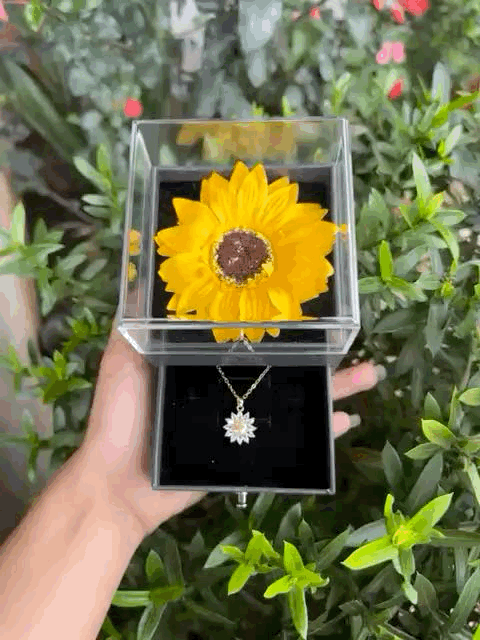 COLAR GIRASSOL BANHADO EM 18K