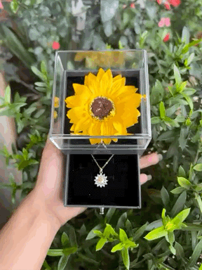 CAIXA E COLAR GIRASSOL BANHADO EM OURO 18K